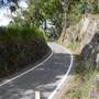 Springbrook National Park