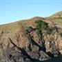 St Bees Island