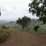 Mountain Road
