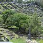 Toowong Cemetery