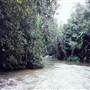 Tully River