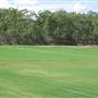 Whites Hill Reserve - Overview