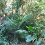 Whitsunday Great Walk