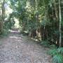 Whitsunday Great Walk