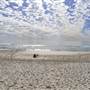 Tugun - Beach & Surf Club