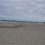 GC Sand Pumping Jetty - The Spit