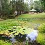 Kholo Botanic Gardens