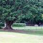 Queens Park, Upper Area