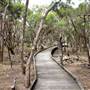 Purga Nature Reserve