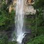 Purling Brook Falls - Springbrook National Park