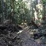 Tamborine National Park