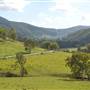 Winding Scenic Mountain Road - National Park