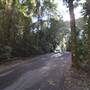 Winding Scenic Mountain Road - National Park