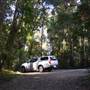 Winding Scenic Mountain Road - National Park