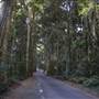 Winding Scenic Mountain Road - National Park