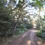 O'Reillys Rainforest Retreat