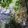 Rocky Creek Falls