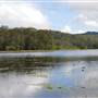 Wappa Dam