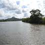 Maroochy River / Old Rail Bridge