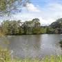 Maroochy River / Old Rail Bridge