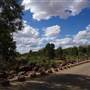 Moondarra River Road - Low Bridge