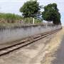 Roadside Cane Train Track