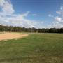 Redlands Rays Baseball