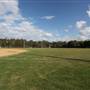 Redlands Rays Baseball