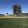 Surfers Paradise Baseball Club