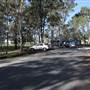 Surfers Paradise Baseball Club