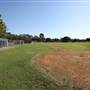 Surfers Paradise Baseball Club