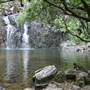 Whitsundays - Cedar Creek Falls
