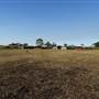 Fort Lytton National Park - General