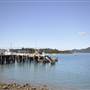 Shute Harbour