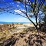 Kings Beach (Bowen)