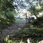 Mangroves meet Ocean - Tallebudgera Creek Conservation Park