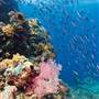 Great Barrier Reef