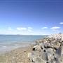 Starboard Drive (Bowen)
