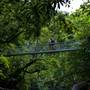 Mossman Gorge
