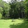 The Backlot, Bonogin - Overview