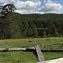 The Backlot, Bonogin - Overview
