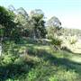 The Backlot, Bonogin - Overview