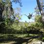 The Backlot, Bonogin - Overview