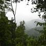 Mamu Tropical Skywalk