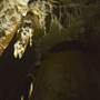 Chillagoe Caves - Donna Cave