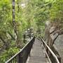 Murray Falls (Girramay National Park)
