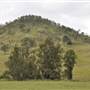 Lost World Valley - Kerry Road