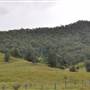 Lost World Valley - Kerry Road