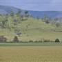 Country Valley Road