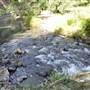 Venus Pools, Stream & Forest